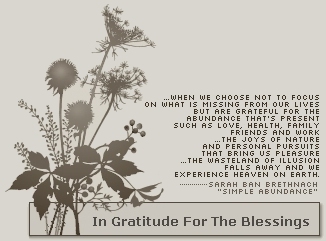 In Gratitude for the Blessings