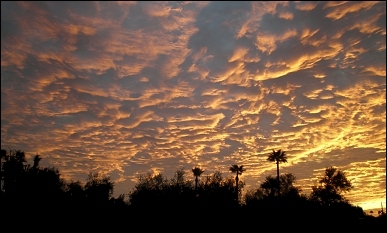 Sunrise in December
